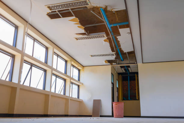 Trusted Newmanstown, PA Water damage restoration Experts