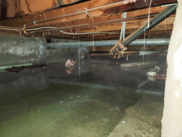 Best Sewage cleanup and water damage restoration  in Newmanstown, PA