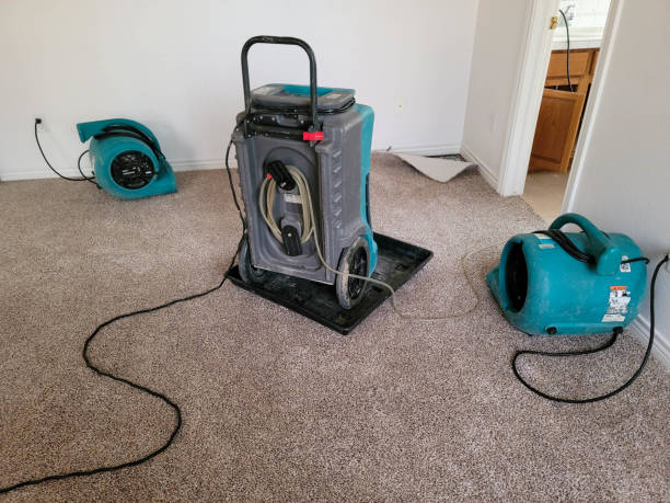 Sewage cleanup and water damage restoration in Newmanstown, PA