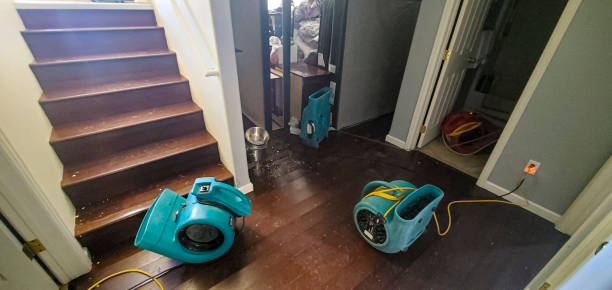 Best Flood damage cleanup  in Newmanstown, PA