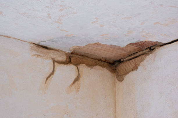 Best Sewage cleanup and water damage restoration  in Newmanstown, PA