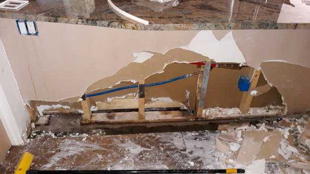 Best Professional water damage repair  in Newmanstown, PA