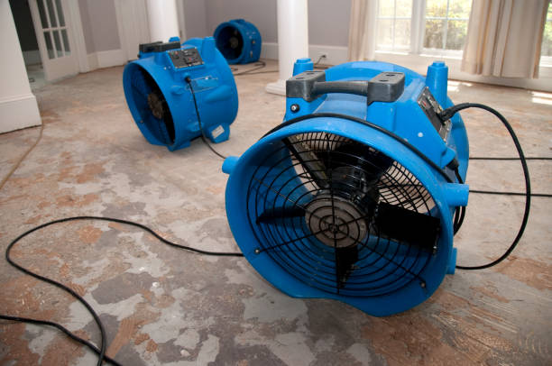 Professional Water damage restoration in Newmanstown, PA