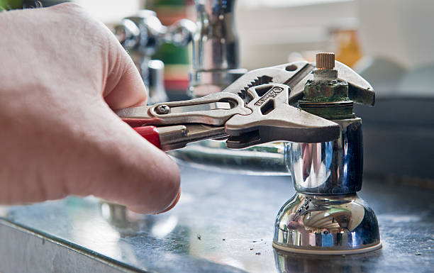 Best Mold removal after water damage  in Newmanstown, PA
