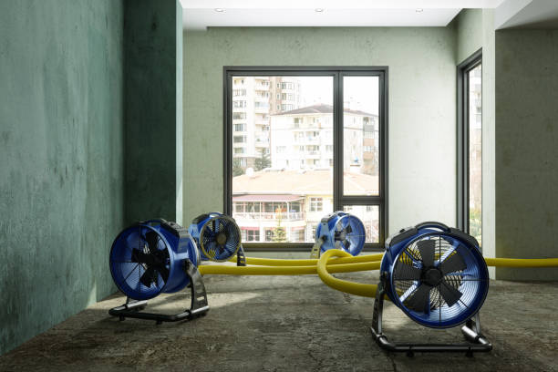 Best Emergency water damage restoration  in Newmanstown, PA