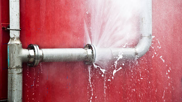 Best Flooded house restoration  in Newmanstown, PA