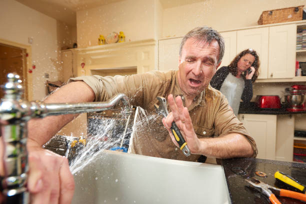 Best Mold removal after water damage  in Newmanstown, PA
